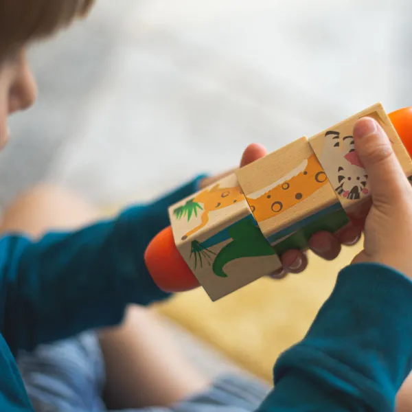 Bigjigs Toys Jungle Twist Blocks