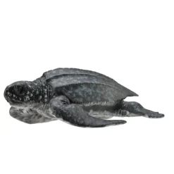 CollectA Leatherback Sea Turtle
