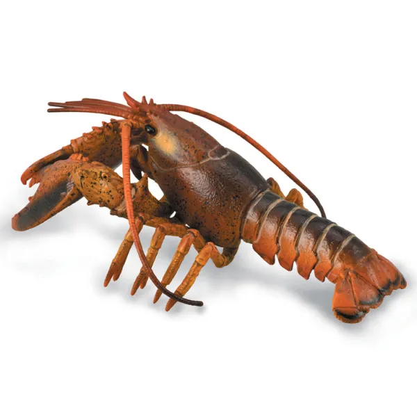 CollectA Lobster