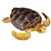 CollectA Loggerhead Turtle