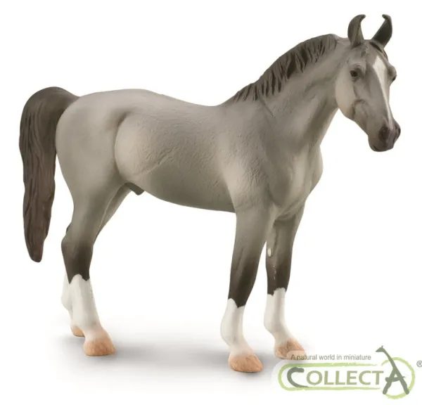 CollectA Marwari Stallion - Grey