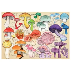 House of Puzzles Mushroom Mania 1000 Piece Puzzle