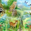 House of Puzzles Nature Study - BIG 250 Piece Jigsaw Puzzle