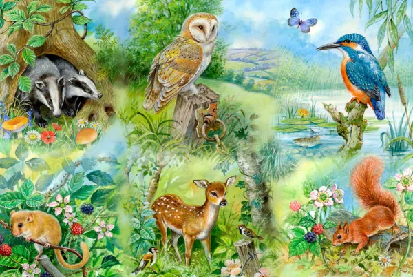 House of Puzzles Nature Study - BIG 250 Piece Jigsaw Puzzle