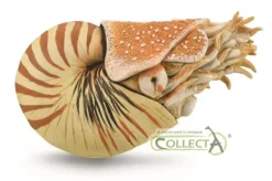 CollectA Nautilus Pompilius