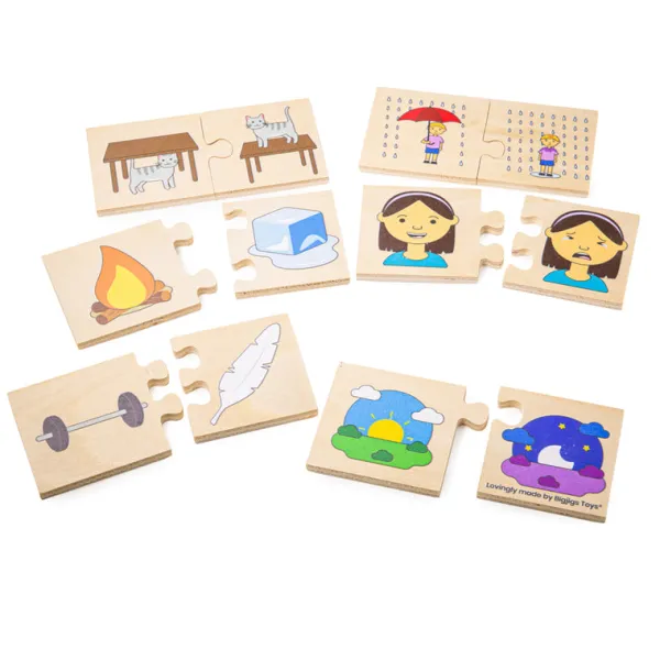Bigjigs Toys Opposites