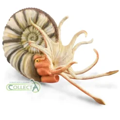 CollectA Pleuroceras Ammonite