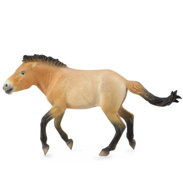 CollectA Przewalski Stallion