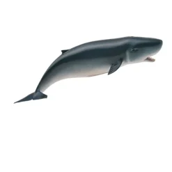 CollectA Pygmy Sperm Whale