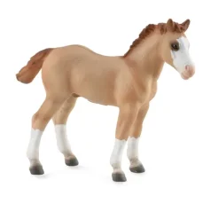CollectA Quarter Foal - Red Dun