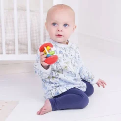 Bigjigs Baby Rainbow Roller