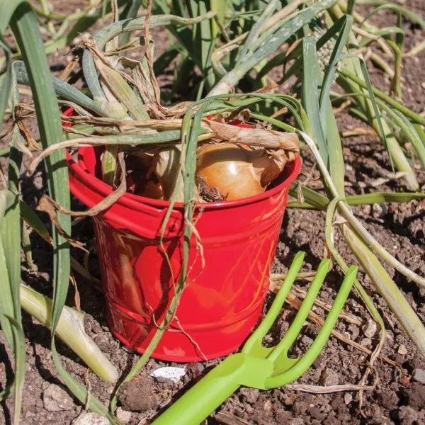 Bigjigs Toys Red Bucket