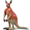 CollectA Red Kangaroo - Male