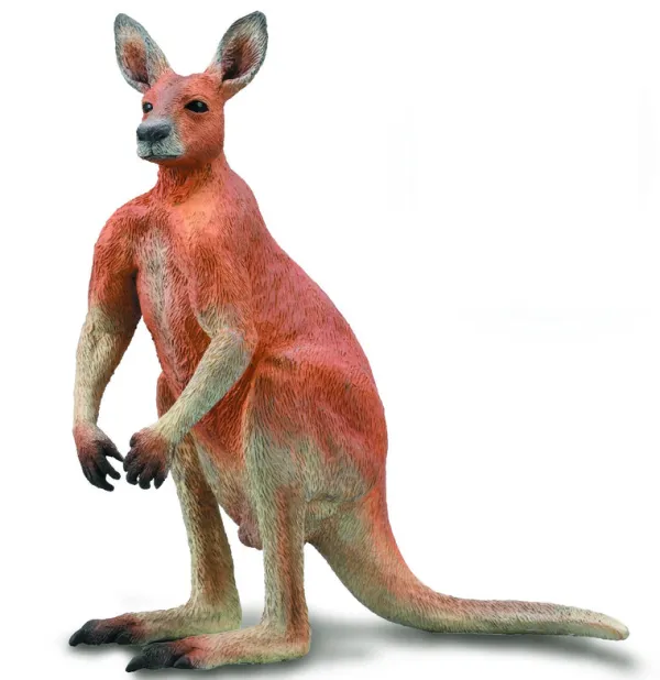 CollectA Red Kangaroo - Male