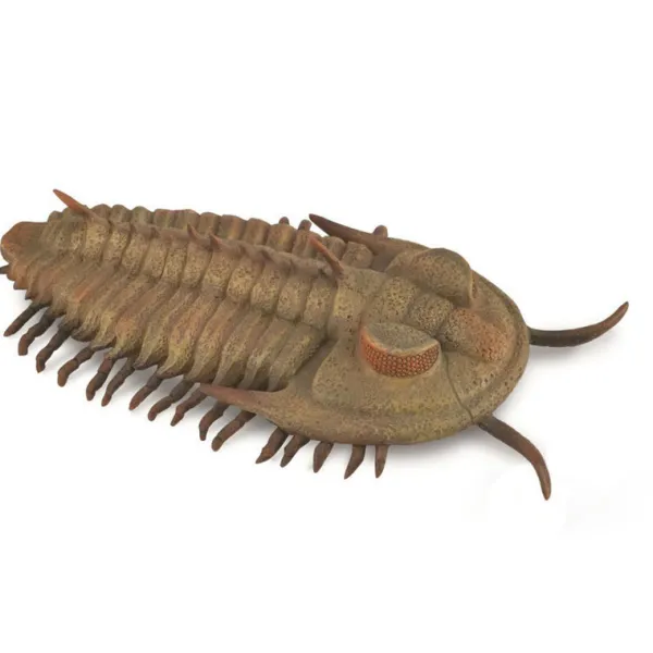 CollectA Redlichia Rex Trilobite