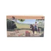 CollectA Rider & Accessories with Horse Box Set