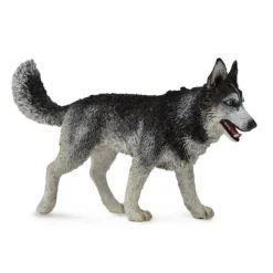 CollectA Siberian Husky
