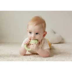 Tiger Tribe Silicone Teether - Dino