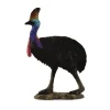 CollectA Southern Cassowary