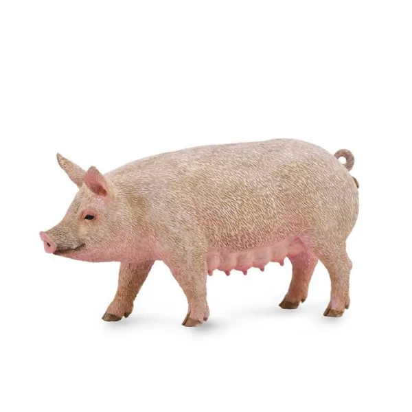 CollectA Sow