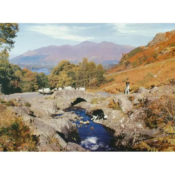 House of Puzzles Thirsty Work - 1000 Piece Jigsaw Puzzle