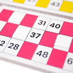Bigjigs Toys Traditional Bingo