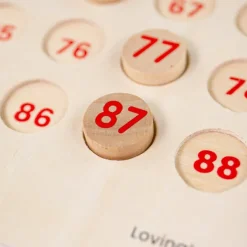 Bigjigs Toys Traditional Bingo