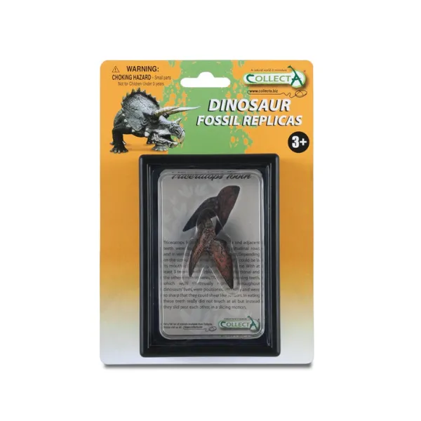 CollectA Triceratops Tooth In Display Case