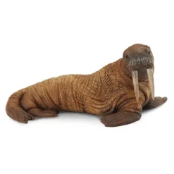 CollectA Walrus
