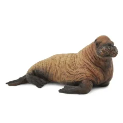 CollectA Walrus Calf