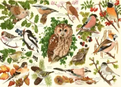 House of Puzzles Woodland Birds - BIG 500 Piece Jigsaw Puzzle